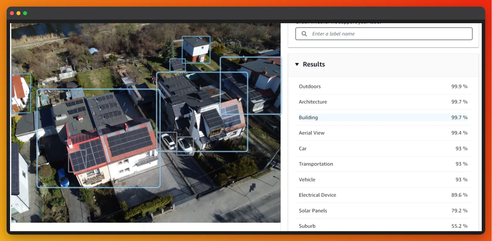 Screenshot of the bounding boxes/labels over the photo