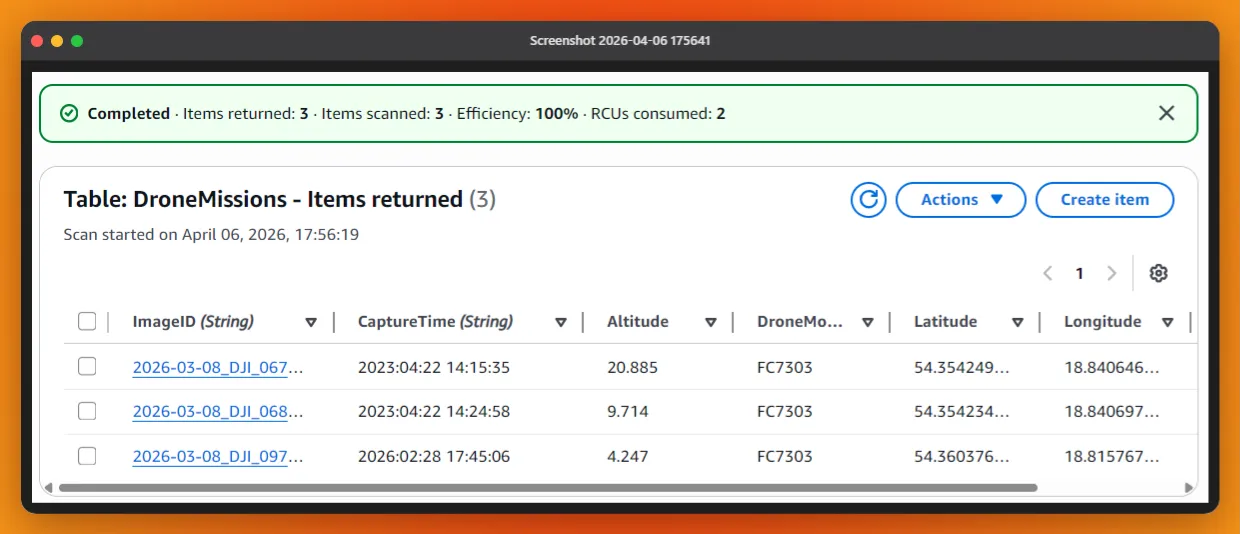 DynamoDB Table Items